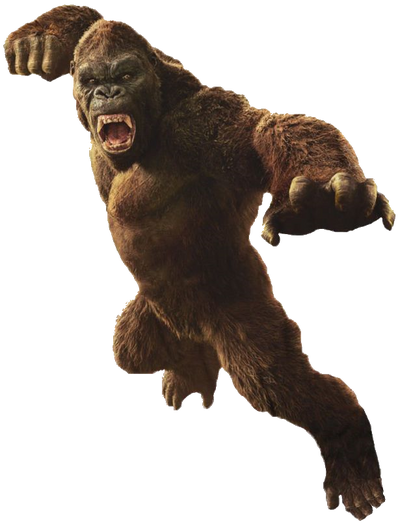 Kong