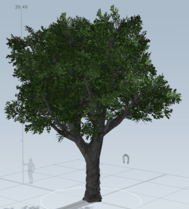 KoaWoodTree2withWind