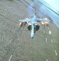 Harrier