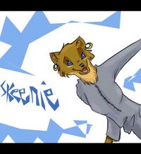Img41461ed48b2af