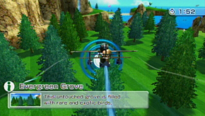 Evergreen Grove