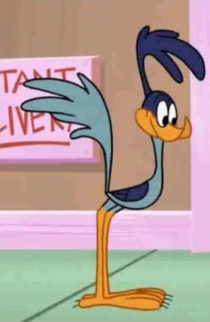 road runner looney tunes road runner looney tunes