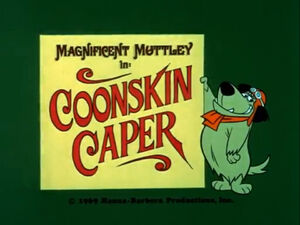 Wr dm coonskin caper