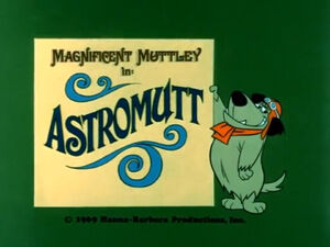 Wr dm astromutt