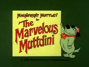 Wr dm marvelous muttdini