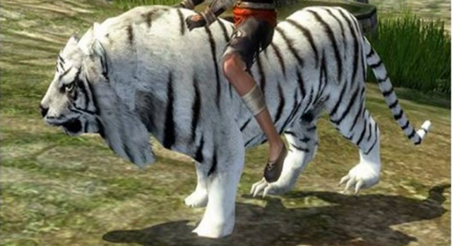 File:Mounts Slider.png