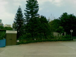Greenparadise
