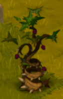 Bramble (Tree)