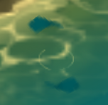Shoal of small fish (good)