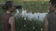 Daryl et carol