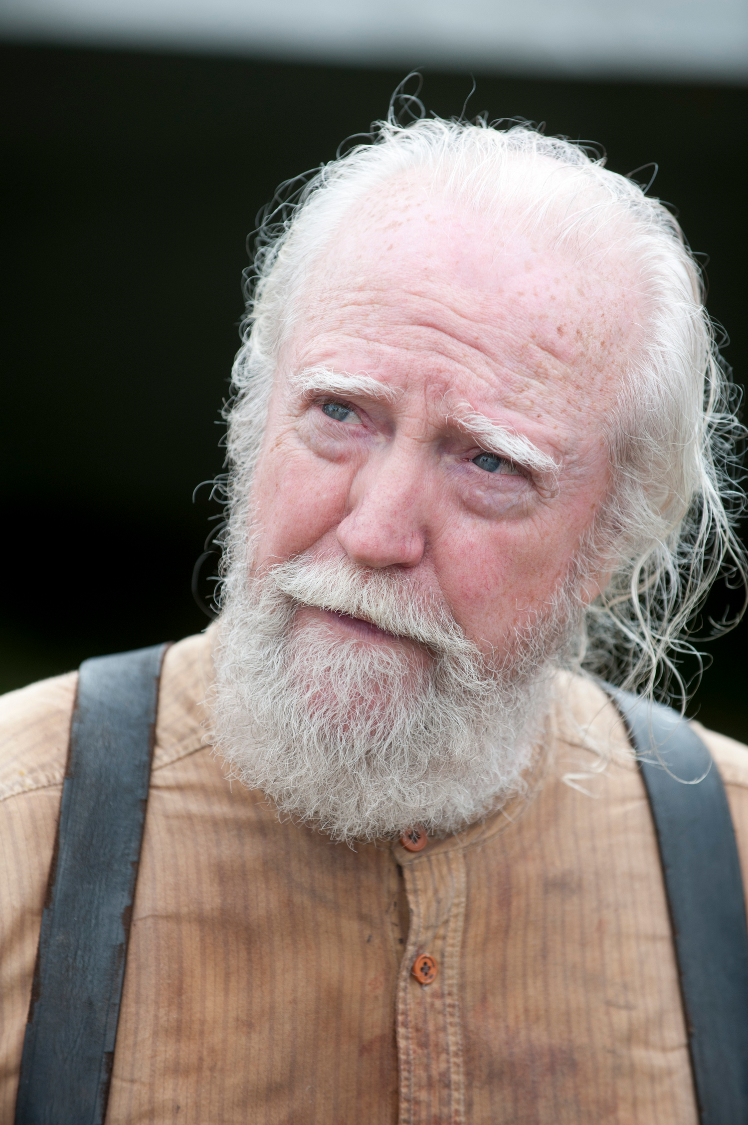 Hershel Greene Wiki The Walking Dead Fandom