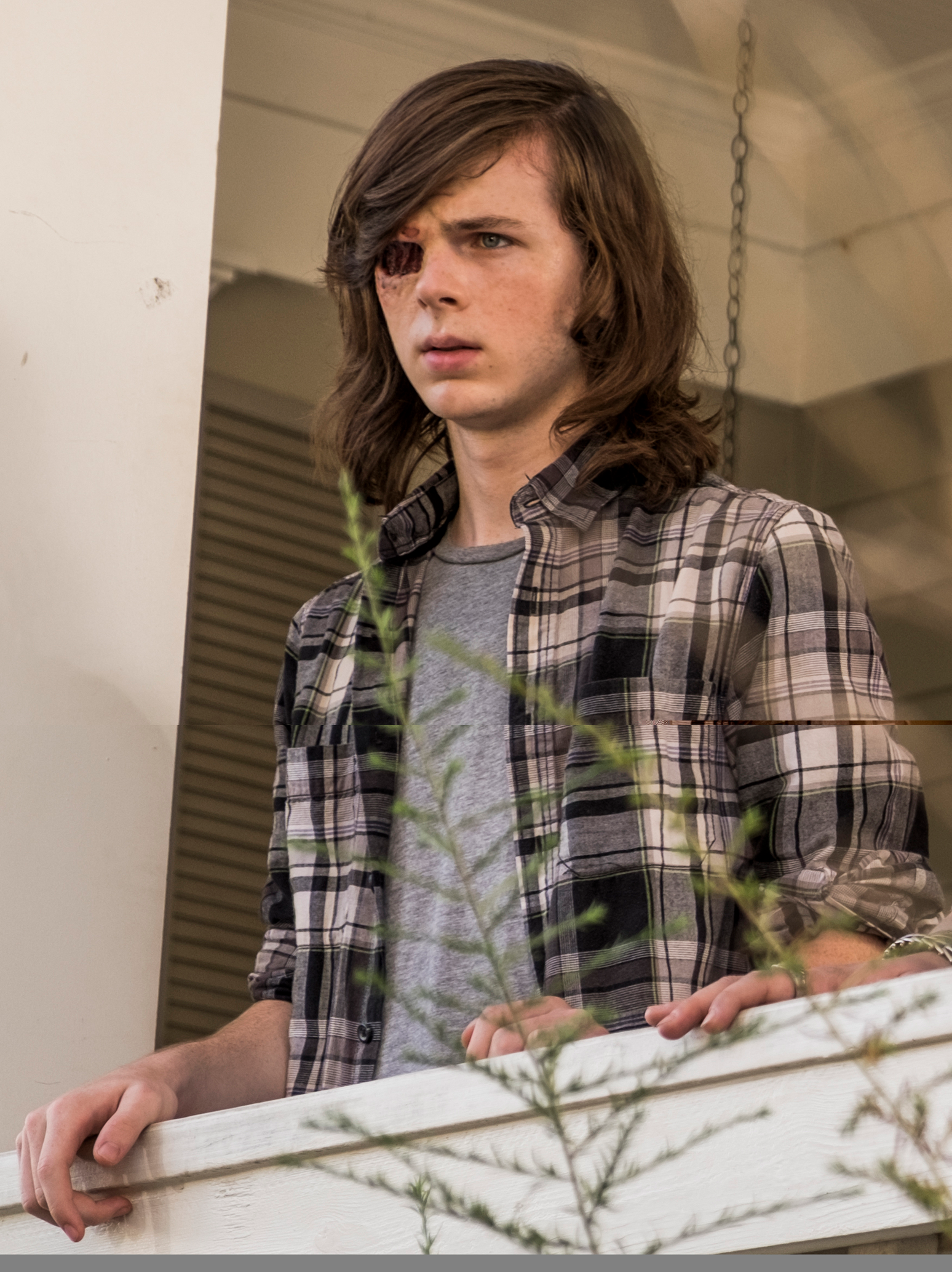 Carl Grimes Wiki The Walking Dead FANDOM powered by Wikia