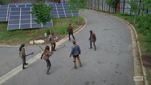 The Wolves