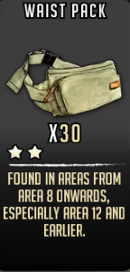 Waist Pack