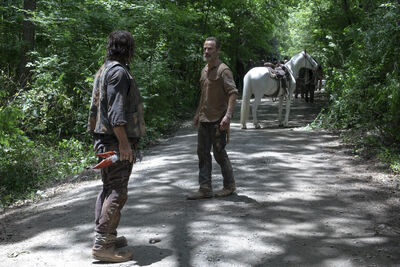 TWD 904-0