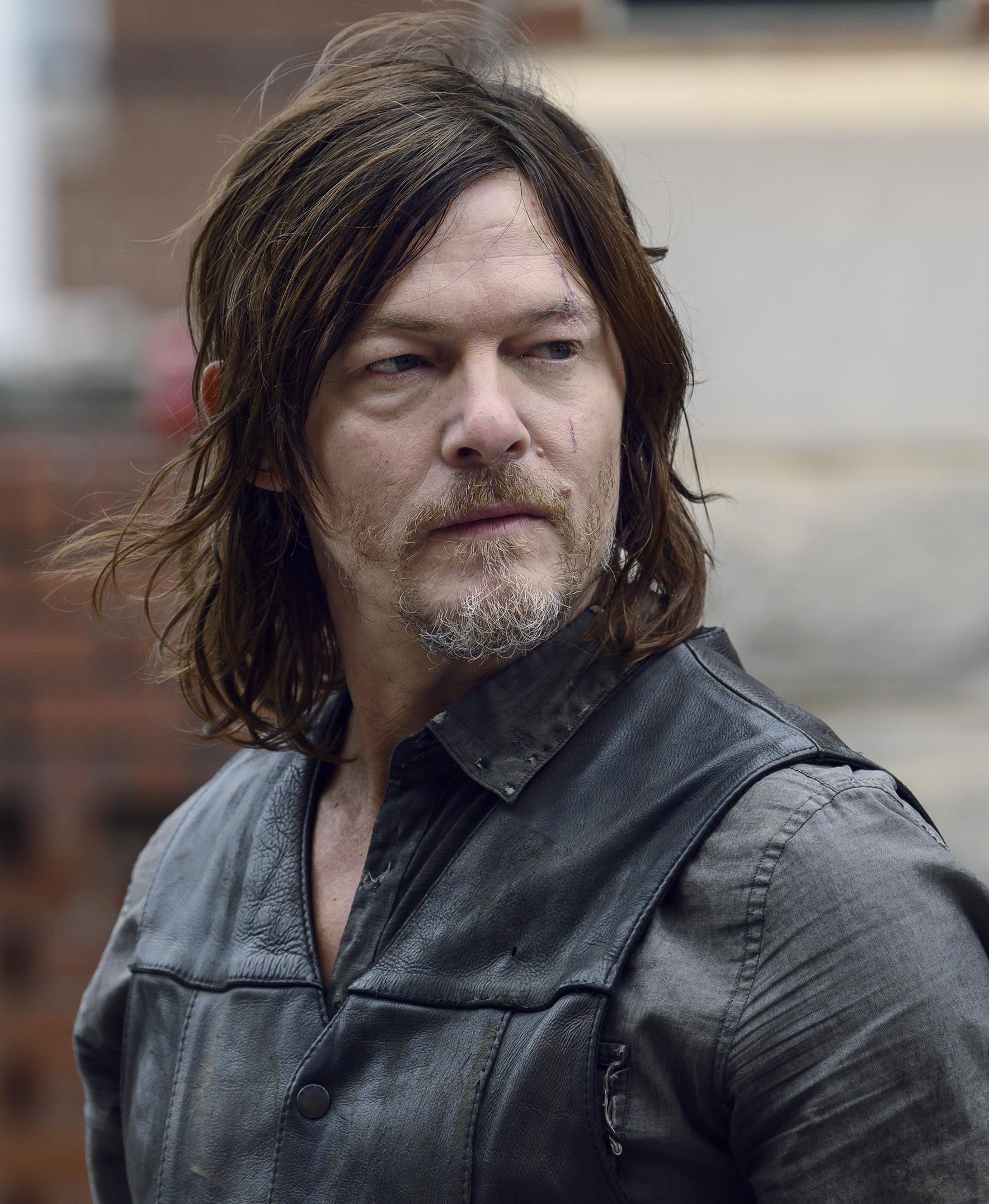List 103+ Pictures Picture Of Daryl From Walking Dead Latest 10/2023