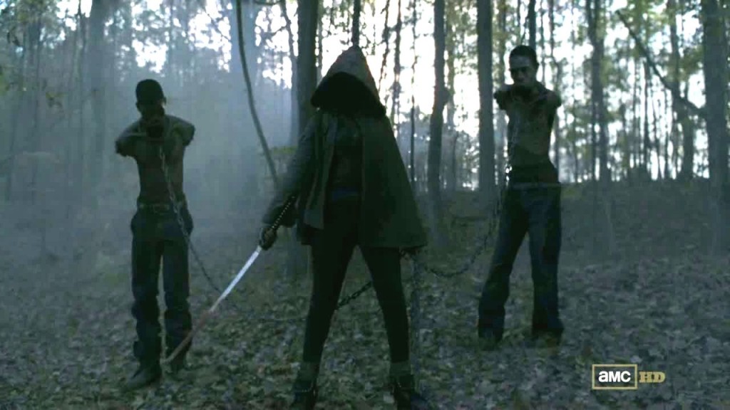 Michonne S Group Tv Series Walking Dead Wiki Fandom Images, Photos, Reviews