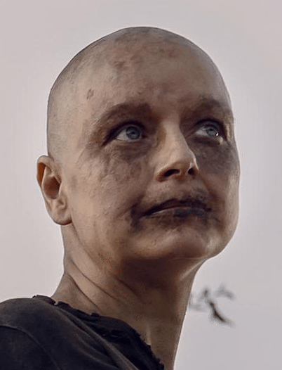 Twd Alpha Twd Alpha