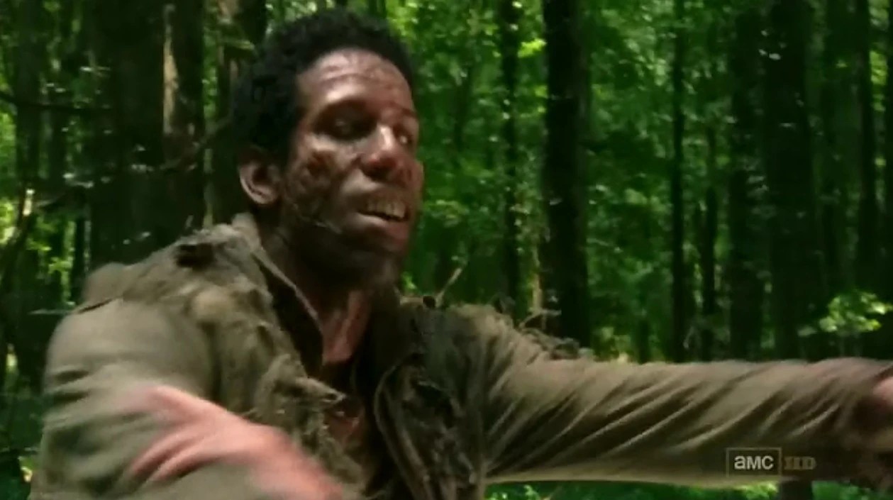 Image Andrea walker.jpg Walking Dead Wiki FANDOM powered by Wikia