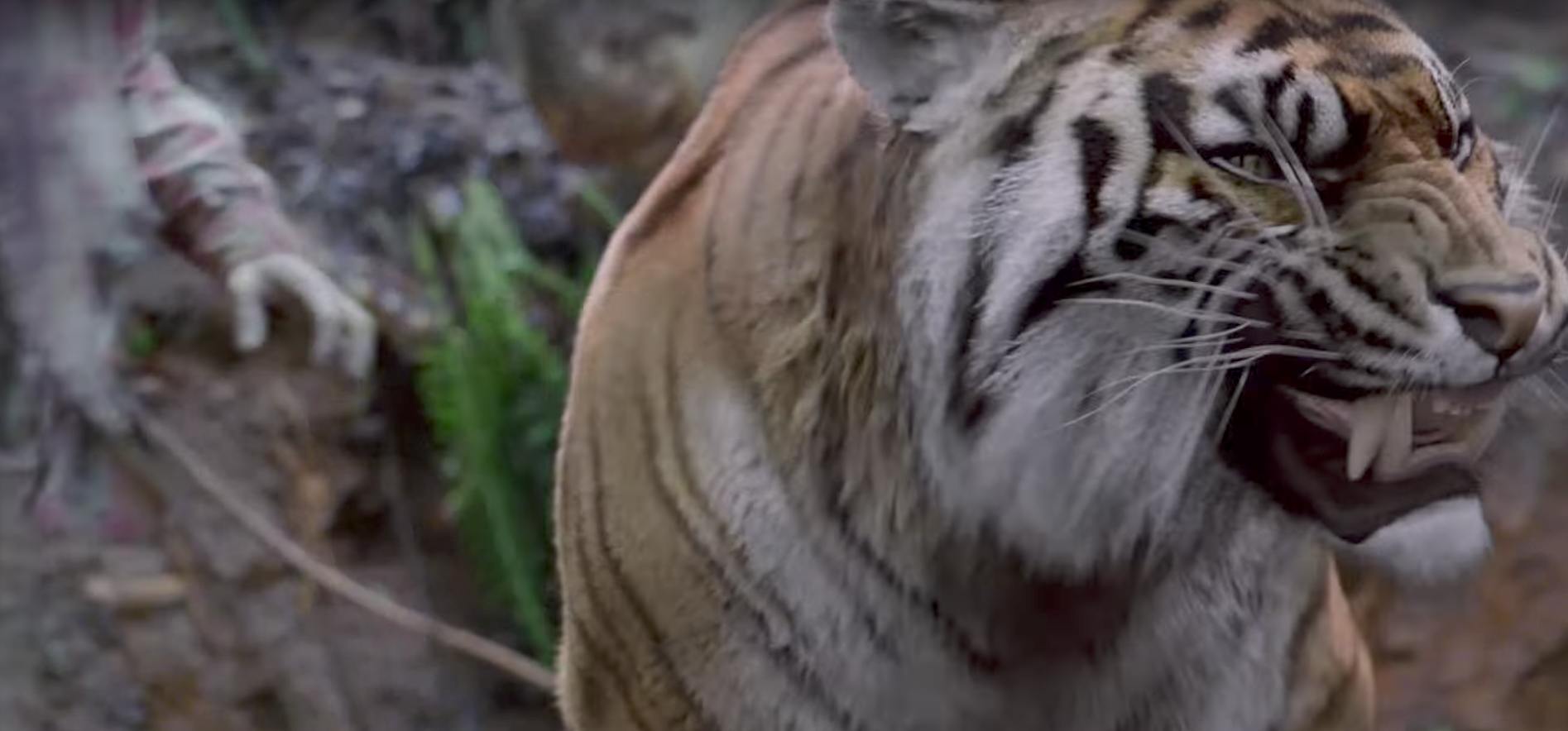Image Shivawalkingdeadtigerseason8.png Walking Dead Wiki FANDOM powered by Wikia
