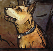 ATR Sam Picture