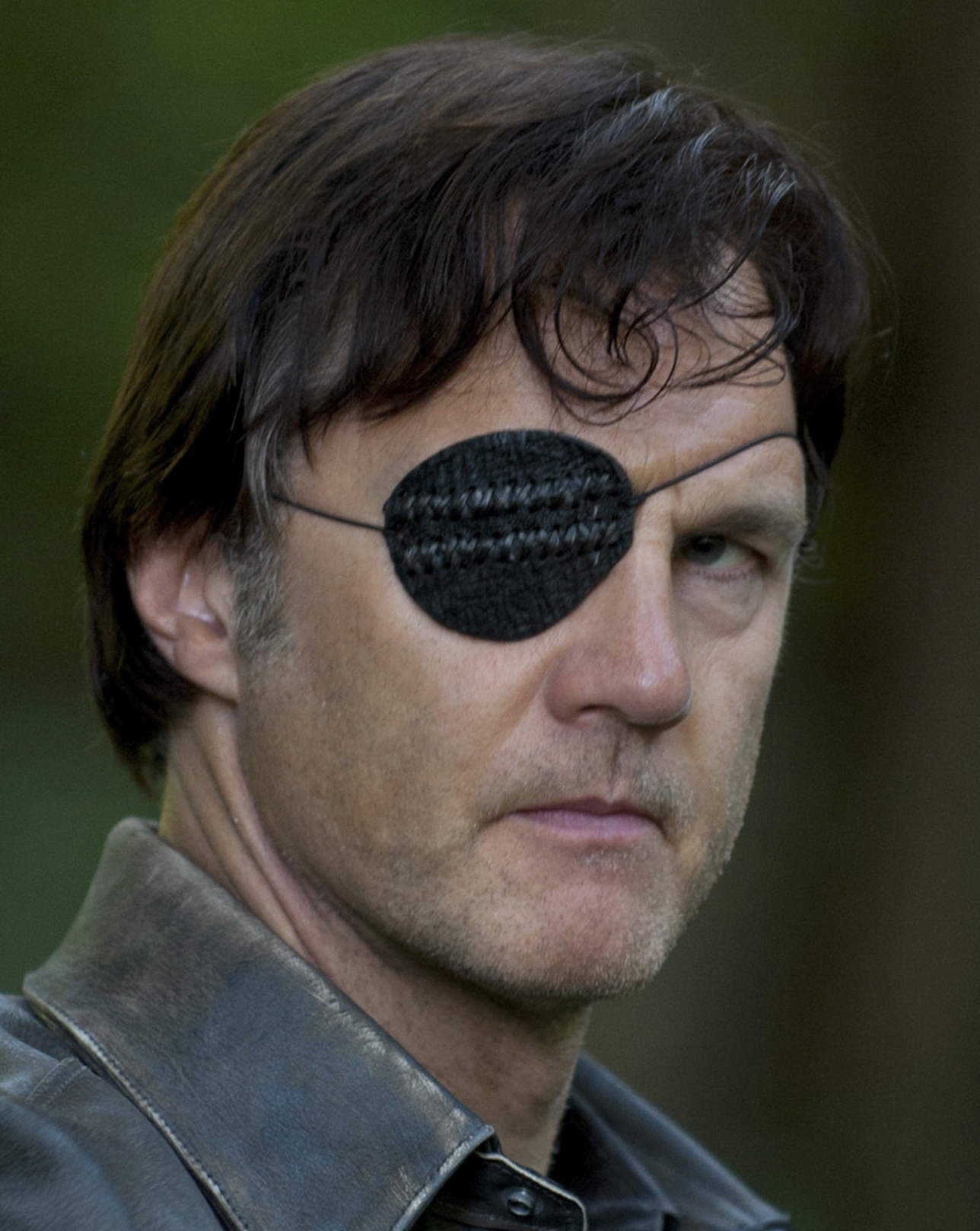 Image result for The Walking Dead governor