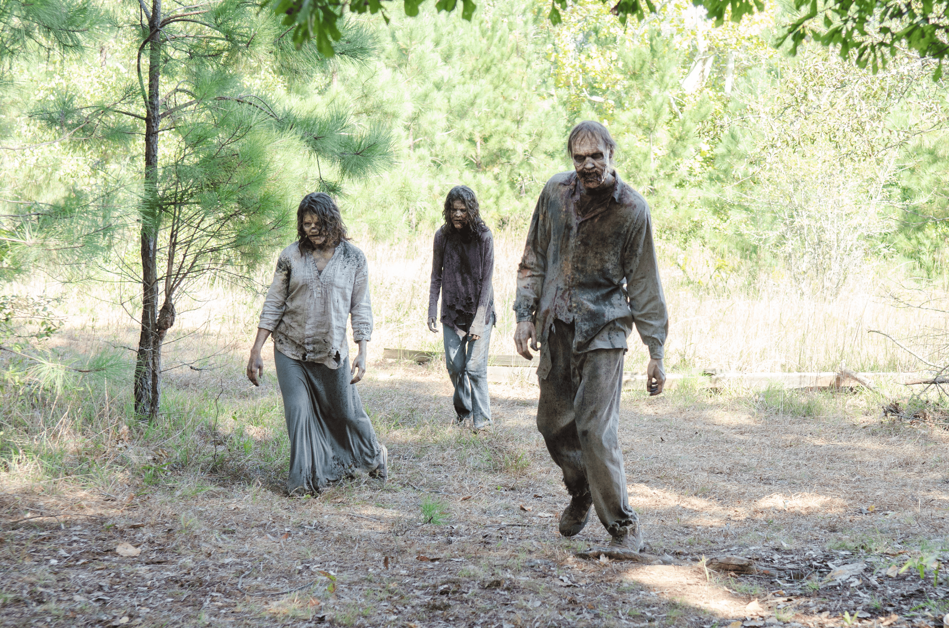 amc walking dead game online amc walking dead game online