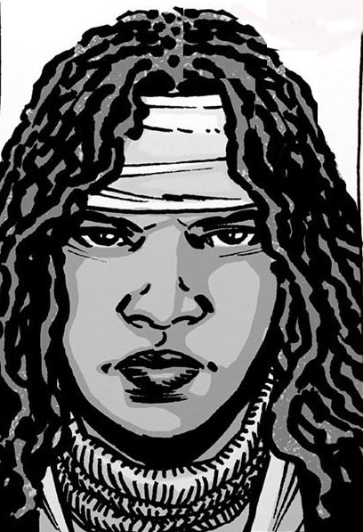 Image result for the walking dead Michonne comics