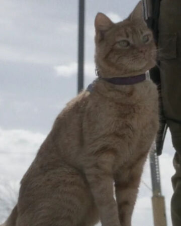 Skidmark Animal Walking Dead Wiki Fandom