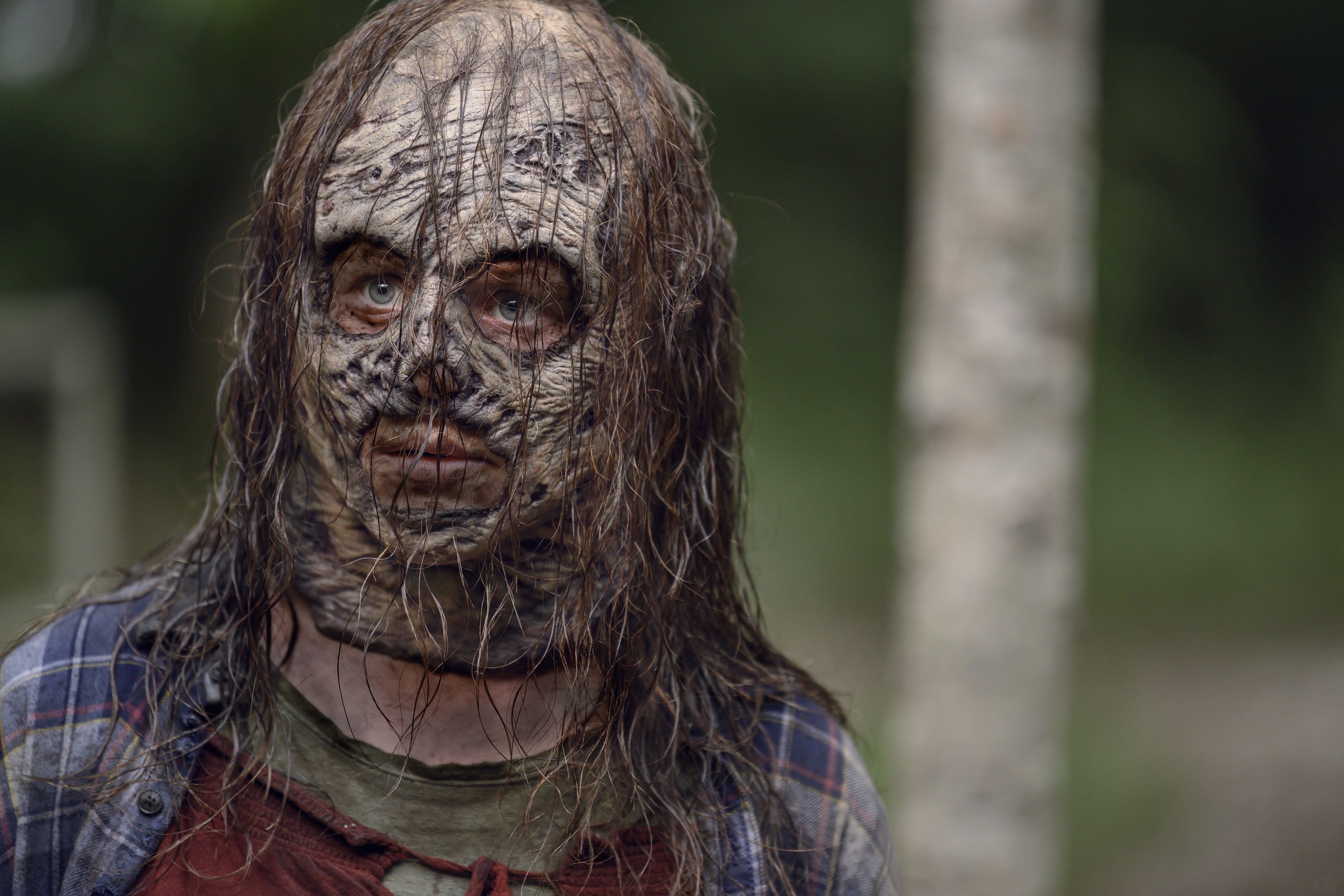 walking dead just introduced the whisperer