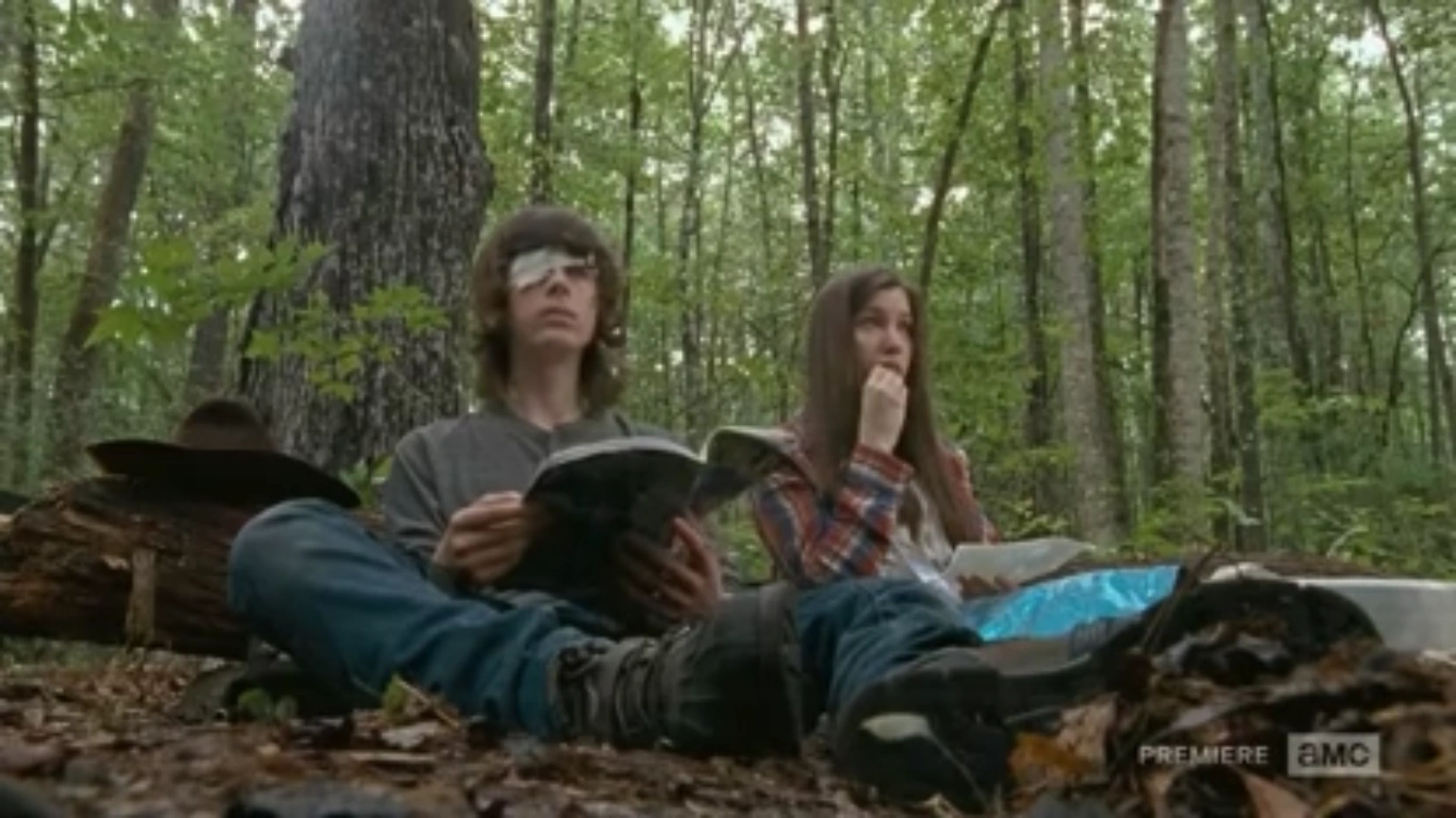 The Walking Dead Carl And Enid