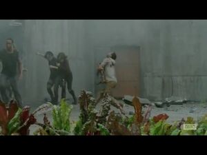 Julio killed