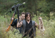 AMC 513 Daryl Aaron Pursuit