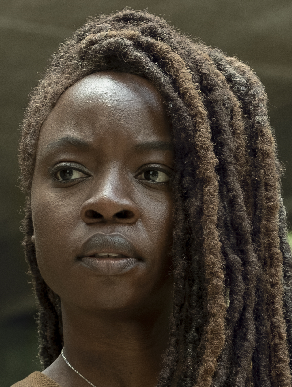 Michonne Tv Series Walking Dead Wiki Fandom