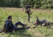 AMC 513 Stomping Walker
