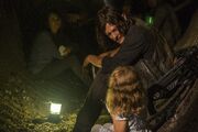 TWD 808 GP 0804 0076-RT