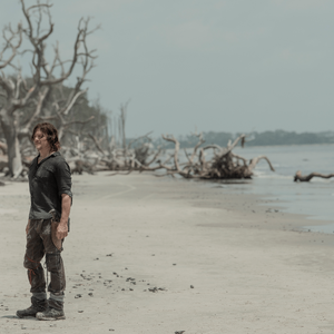 Lines We Cross Tv Series Gallery Walking Dead Wiki Fandom