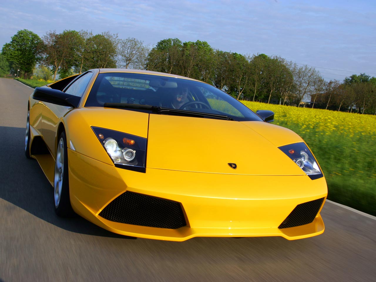Lamborghini Murcielago и девушка