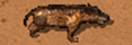 Andrewsarchus