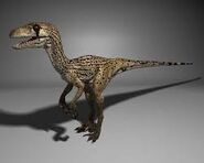 walking with dinosaurs utahraptor