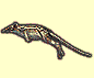 0101leptictidium