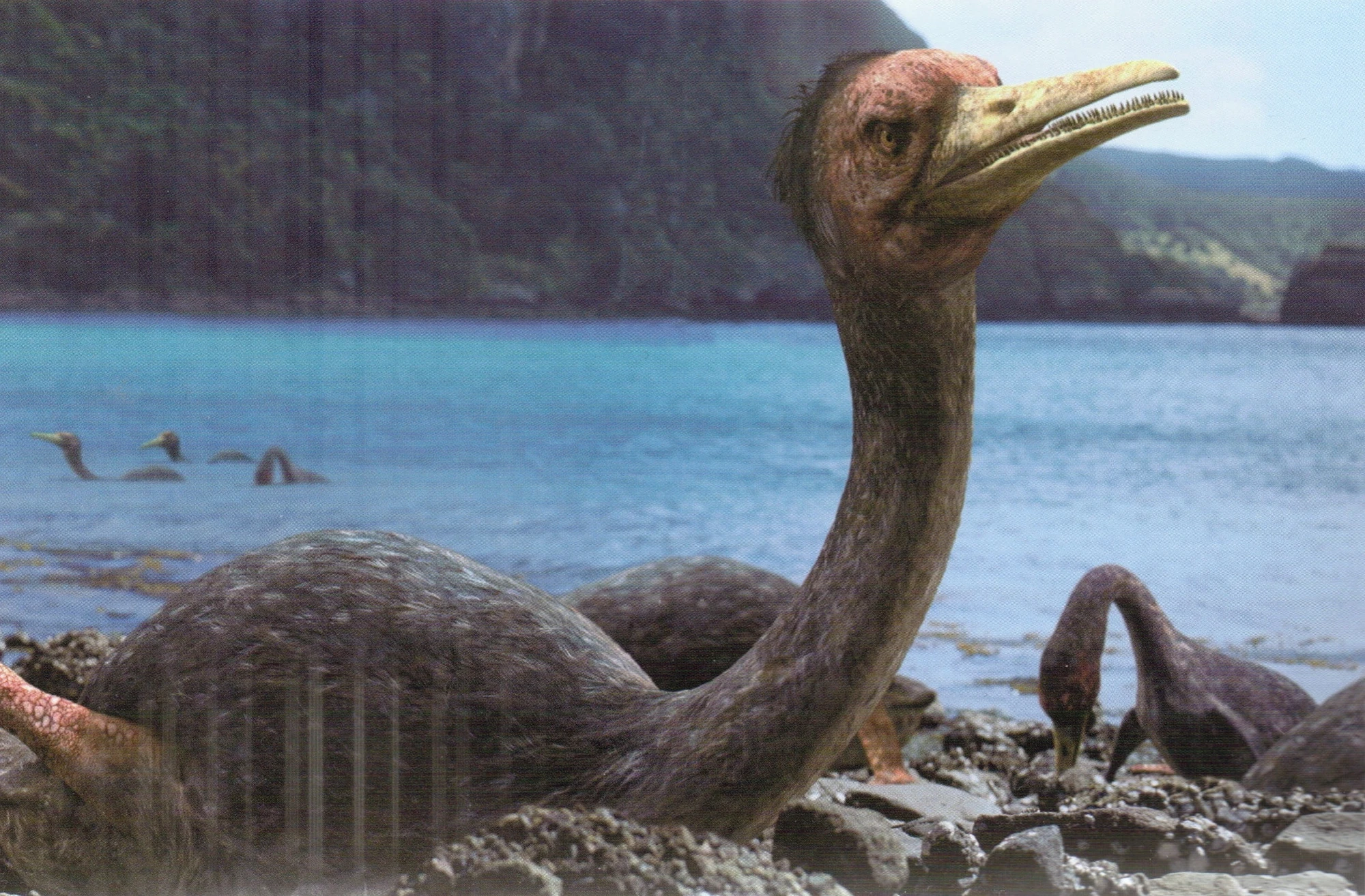 hesperornis-walking-with-wikis-fandom