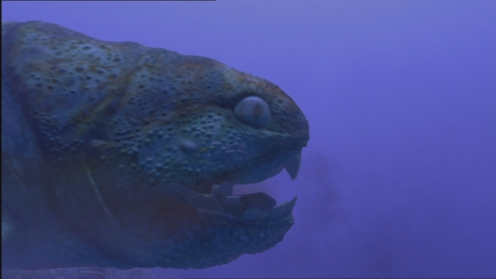 Arthrodira Walking With Wikis Fandom