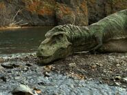 gorgosaurus walking with dinosaurs