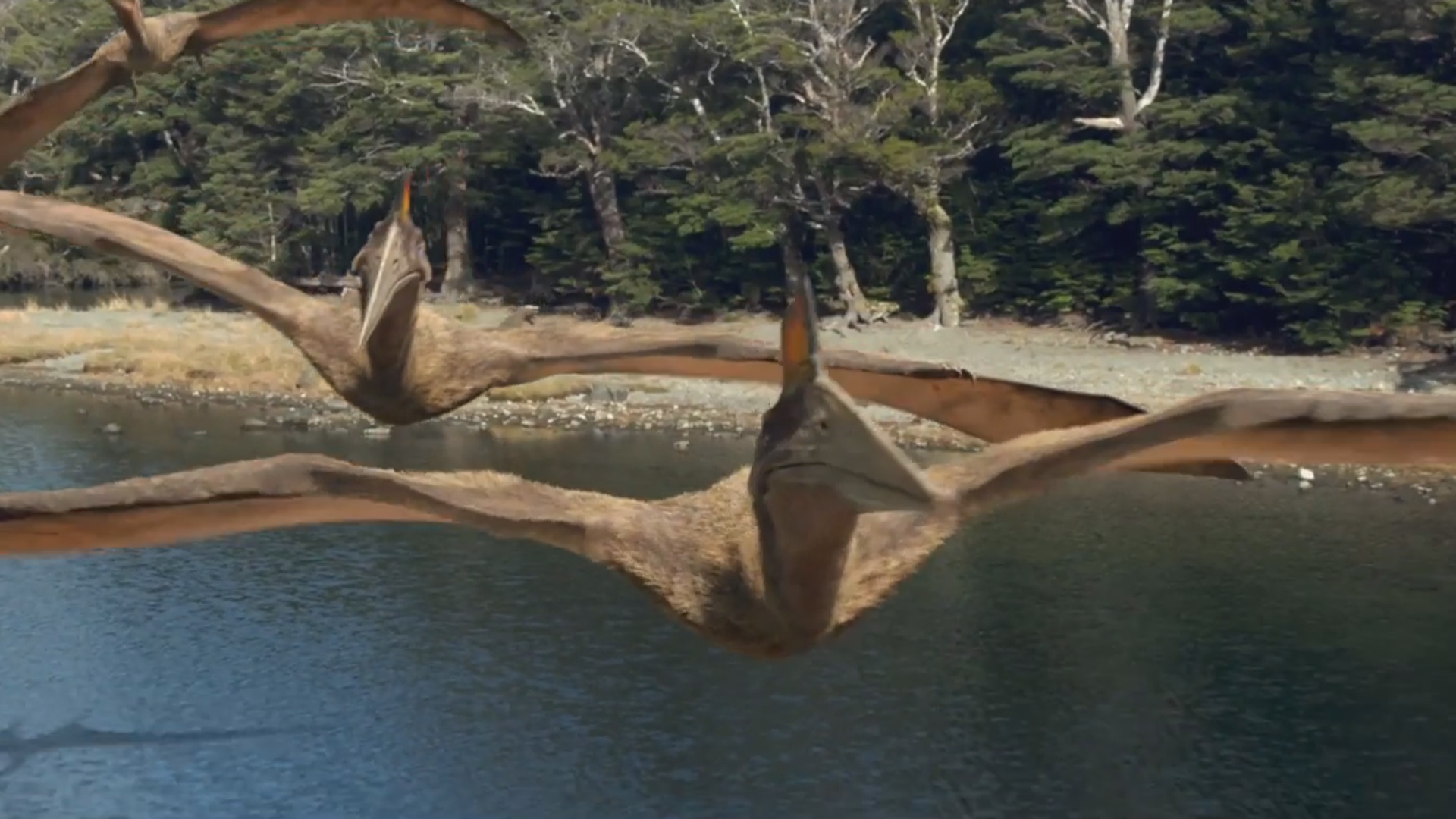 Quetzalcoatlus | Walking With Wikis | FANDOM powered by Wikia