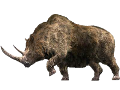 Woolly rhinoceros | Walking With Wikis | Fandom