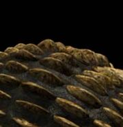 walking with dinosaurs ankylosaurus