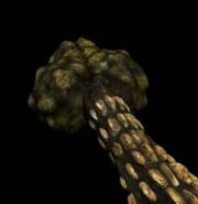 Ankylosaurus | Walking With Wikis | FANDOM powered by Wikia