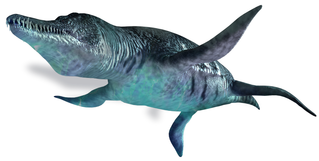 whale shark dinosaur