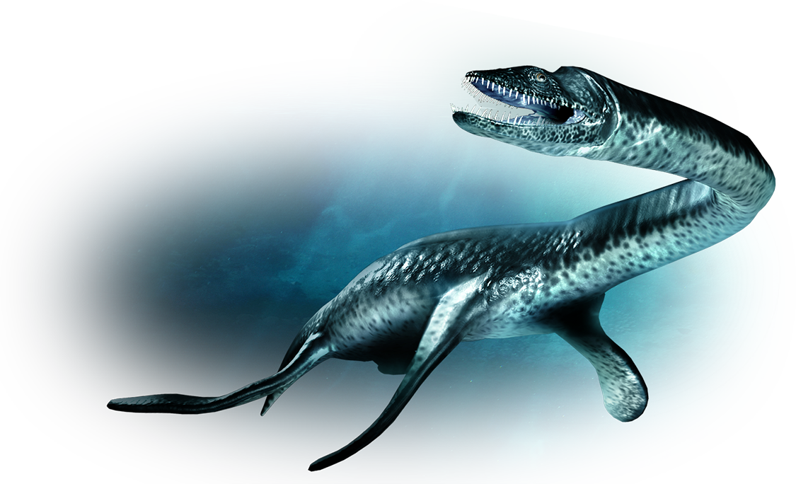 show me a plesiosaurus